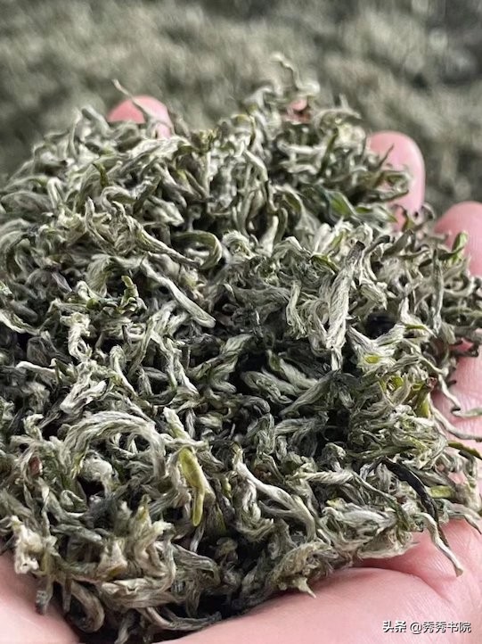 久闻薛山长琴棋书画样样精通,小生仰慕不已,愿跟随山长潜心修习