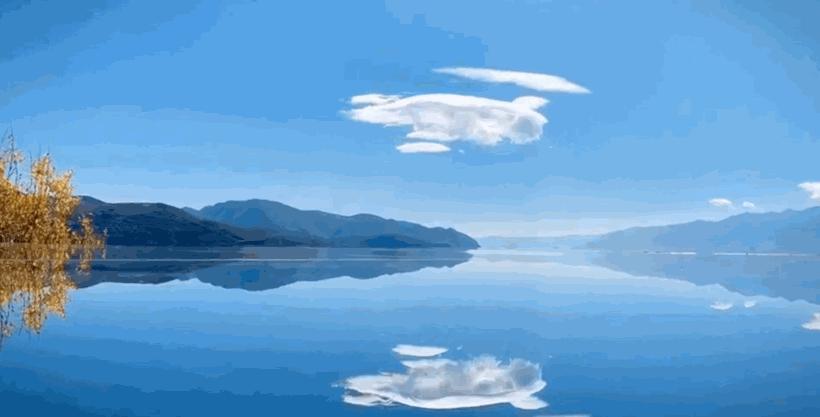 冬季洱海看海鸥最佳地方,这个冬天洱海该有多浪漫