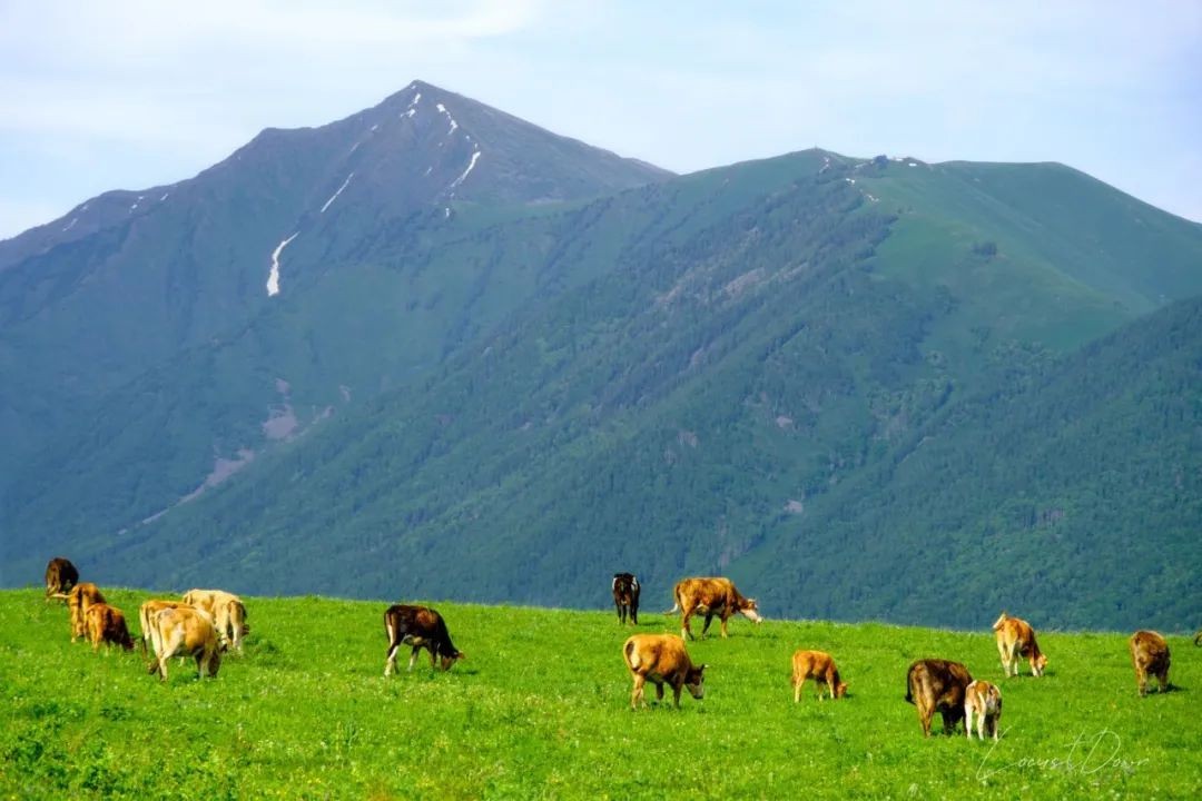 那些选择不租房、长住青旅的年轻人:有人攒钱买房,有人就此躺平