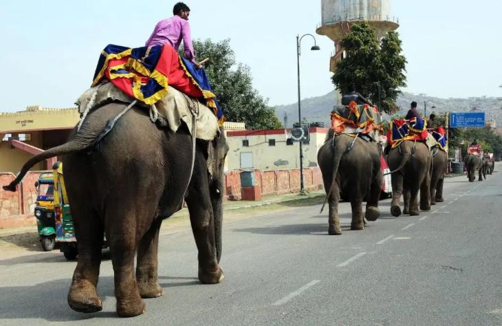 印度人真的穷吗,印度人贫穷吗