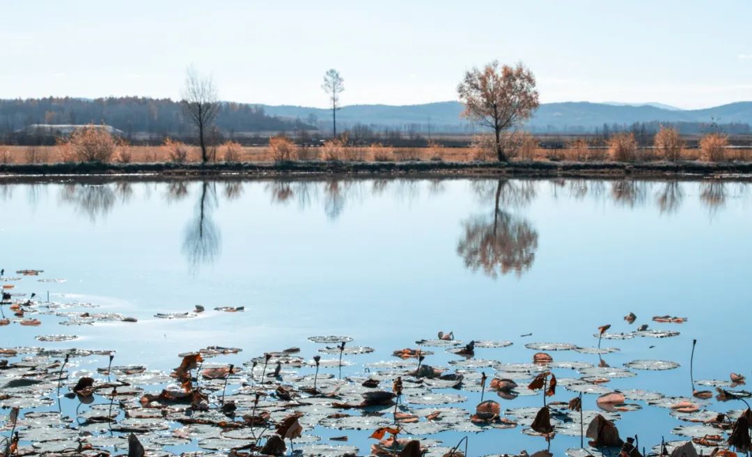 10篇美到骨子里的古文，美了眼，醉了心，把我的心治愈了100遍