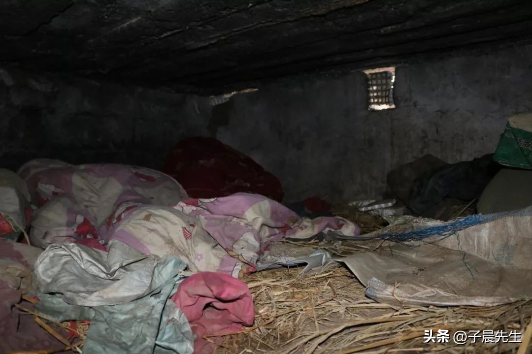 他装疯卖傻几十年完整版,记者装疯卖傻卧底黑砖窑