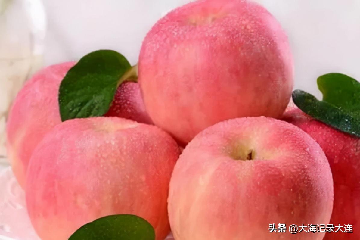 瓦房店苹果有名吗,瓦房店苹果品种大全