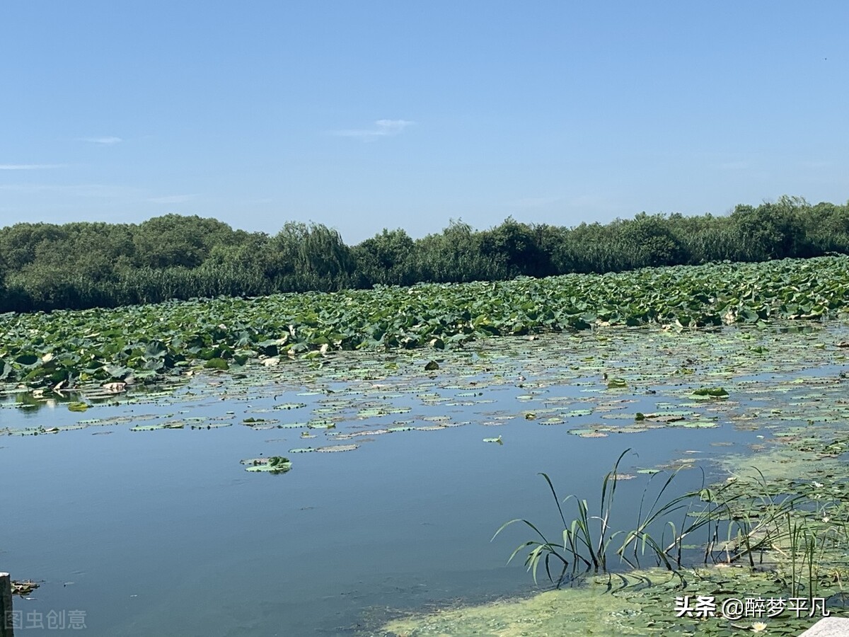 苏州太湖吴中风景区,苏州吴中太湖旅游区旅游真实照片