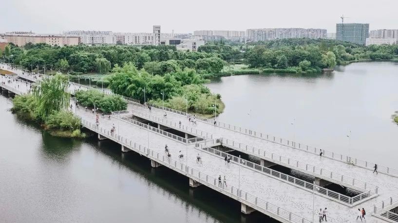 来成都，观太阳神鸟，闻名于世！来川大，听鸾鸣凤语，奏未来之音