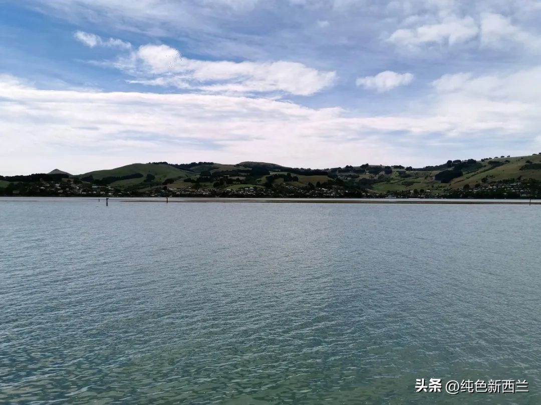 但尼丁火车站简介,新西兰但尼丁城市简介