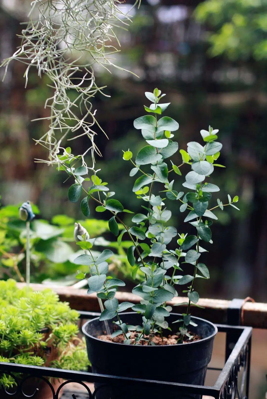 北仑疫情还回得了家吗,北仑疫情出不去了么