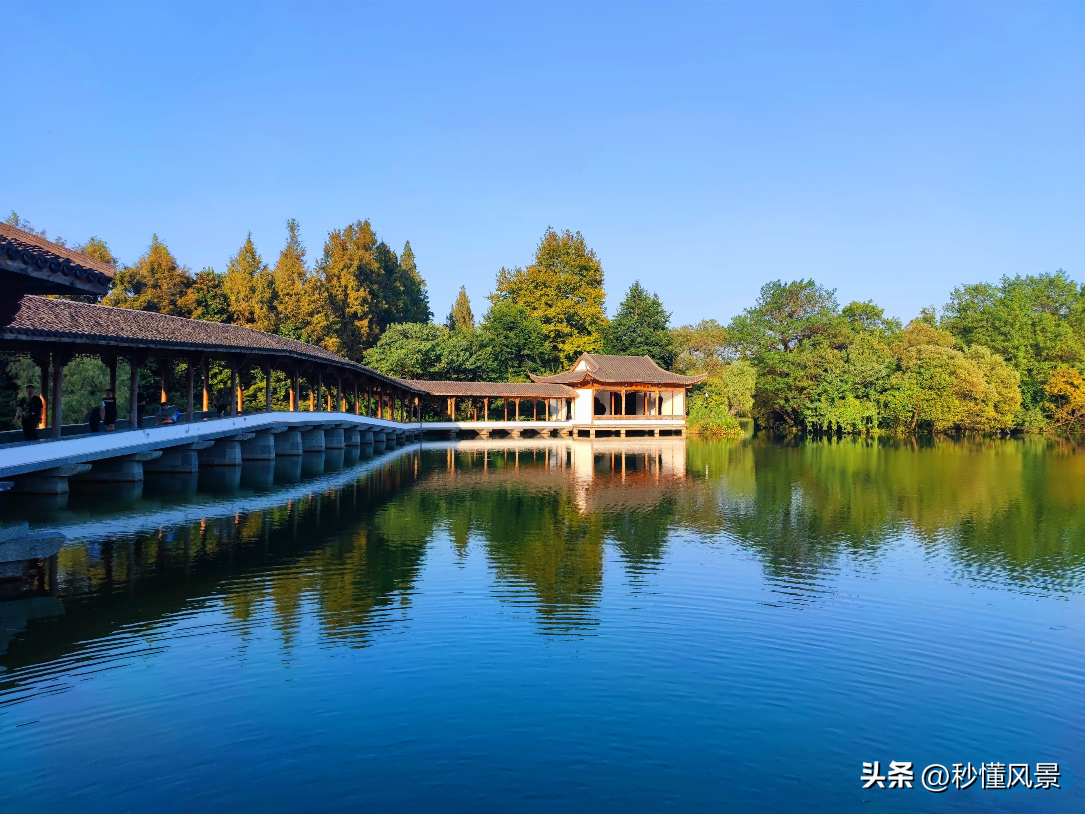 西湖门票免费为杭州带来什么变化,杭州西湖十大小众景点