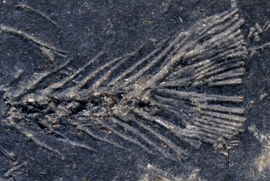 你车里的油和它们有关！探秘石化版“三星堆”宝藏