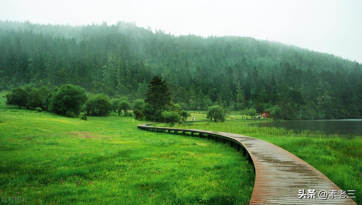 女作家去做保姆——保姆的秘密(671)