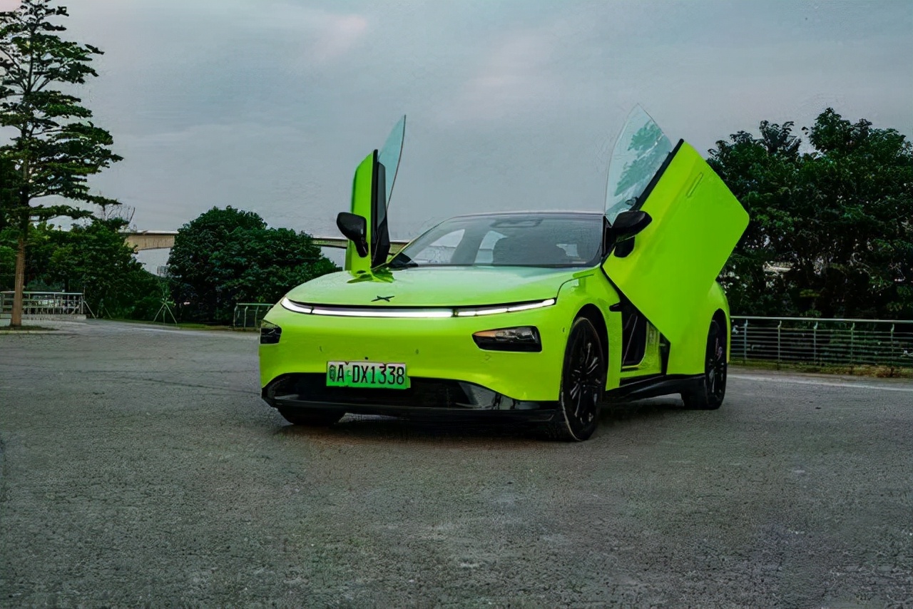 鸥翼门都有哪些,想成为焦点却又害怕成为焦点