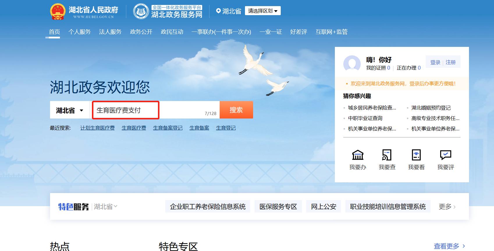 生育有哪些需要咨询的,网上申请生育登记还需要什么材料