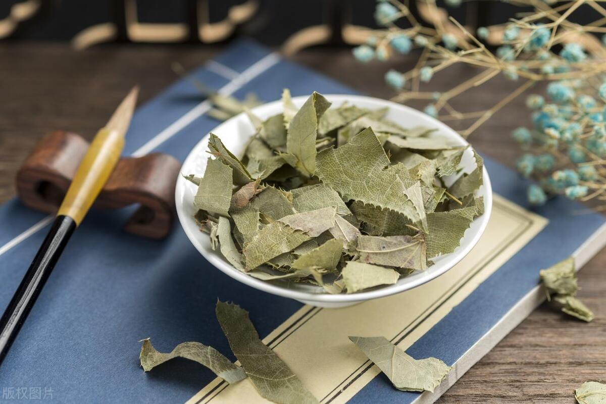 淫羊藿农村地里能找到吗,北方有淫羊藿的植物图片