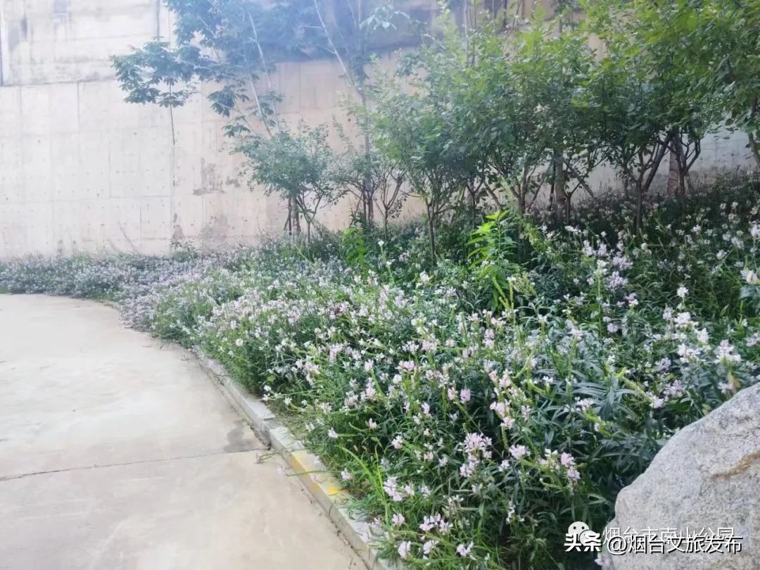 【玩转烟台】秋高气爽的日子里，来南山公园享受一段秋日慢时光