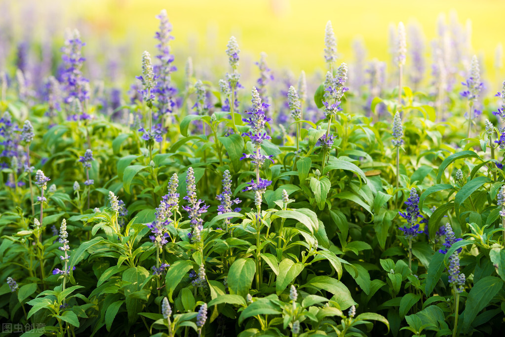 半生已过在余生里请不要辜负自己,半生已过后半生请善待自己