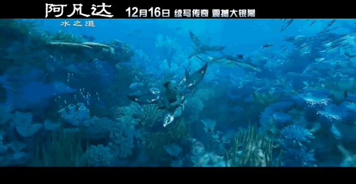 阿凡达一共有几部和上映时间,阿凡达一共有5部还是7部