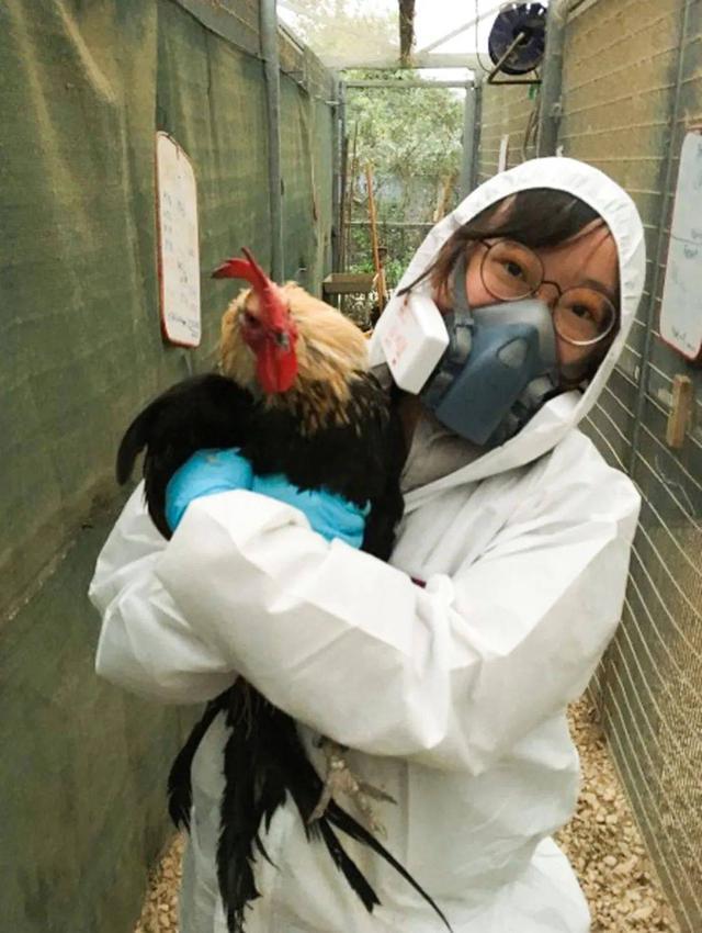 动物和人类行为的研究,有关动物行为的研究