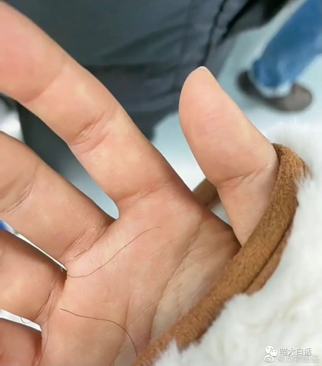 “千万别随便取淘宝名字！！”哈哈哈哈哈哈太社死了救命