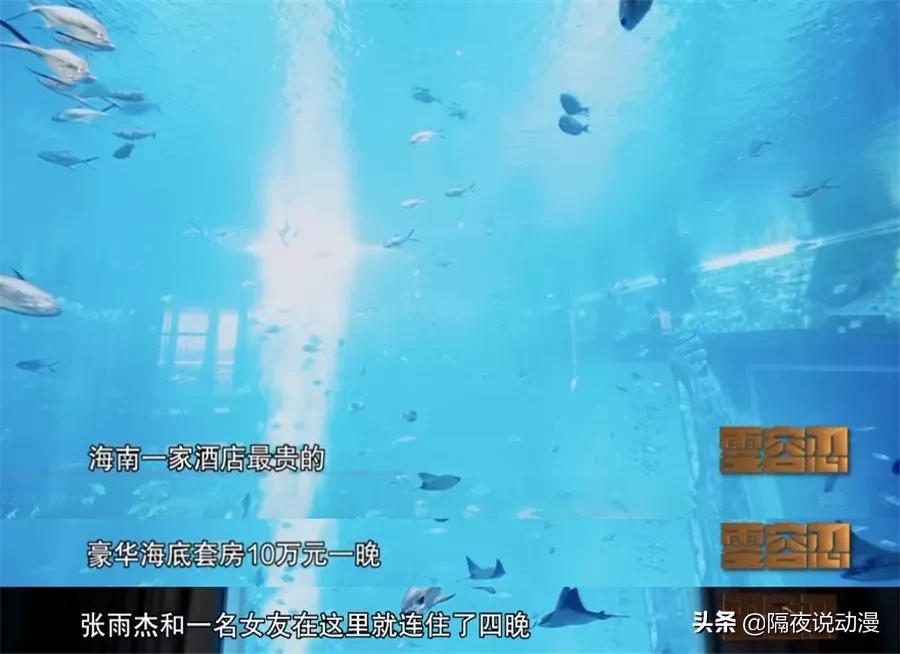 青眼白龙8700万什么梗,8700万青眼白龙是什么版本