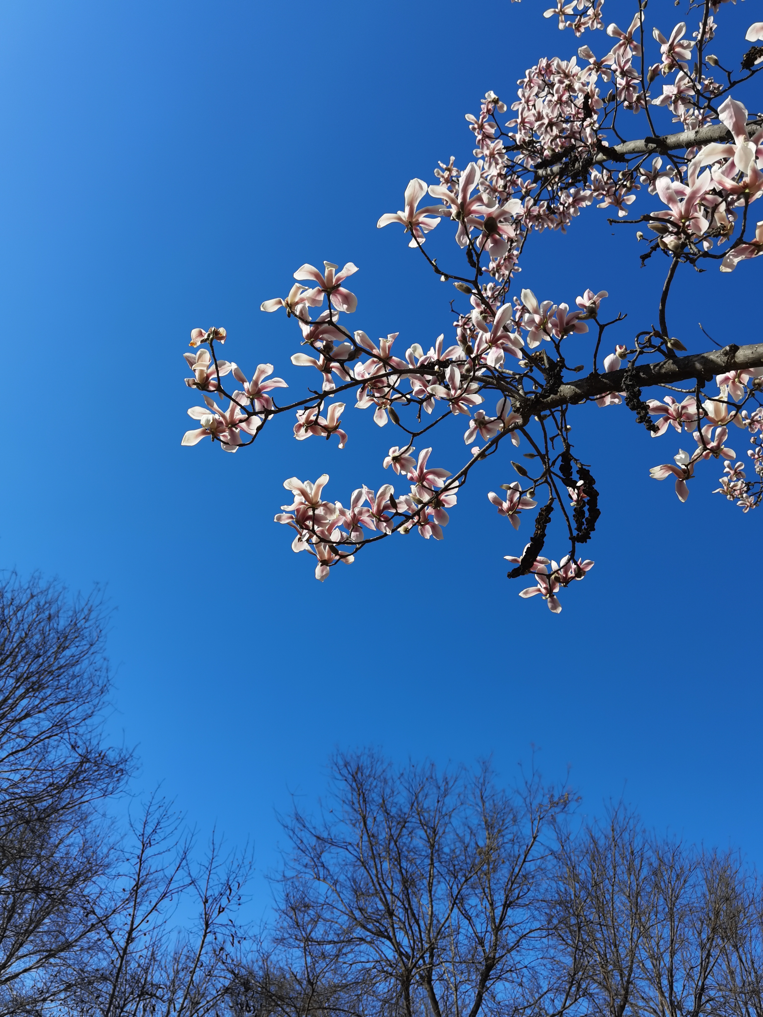 孔明的散文,作家孔明的写人散文