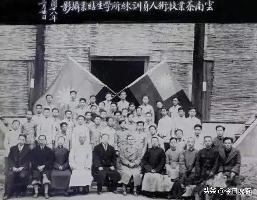 三分钟带你了解云南茶,茶叶小知识一分钟了解滇红茶