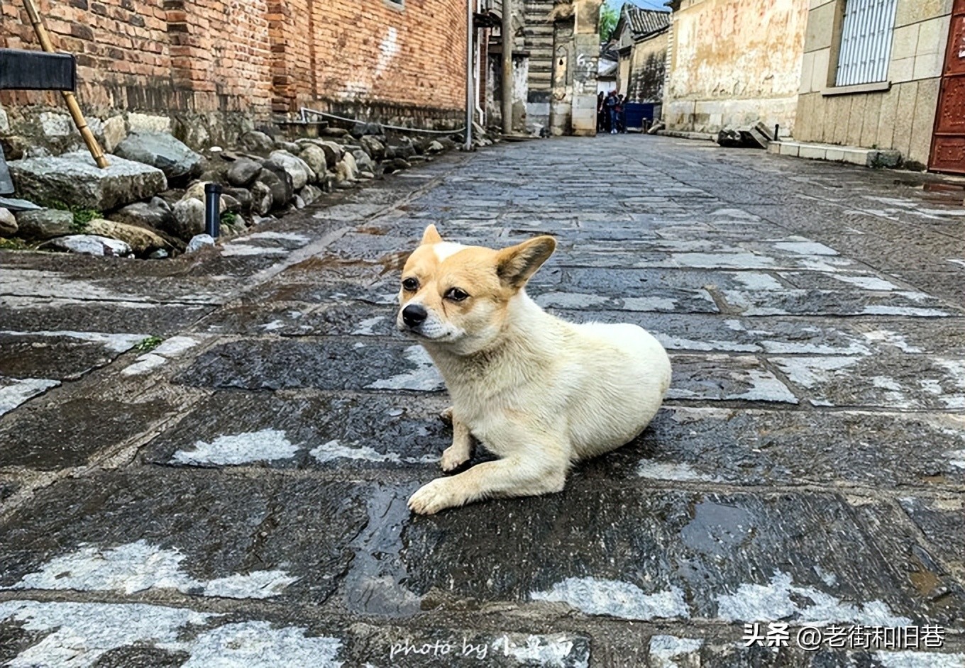 玩转云南自由行,昆明大理丽江6天5晚游多少钱