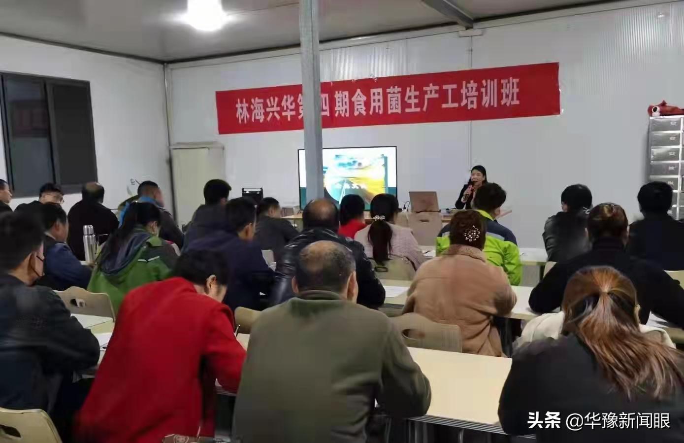 卢氏县林海兴华农业发展有限公司,林海香菇基地