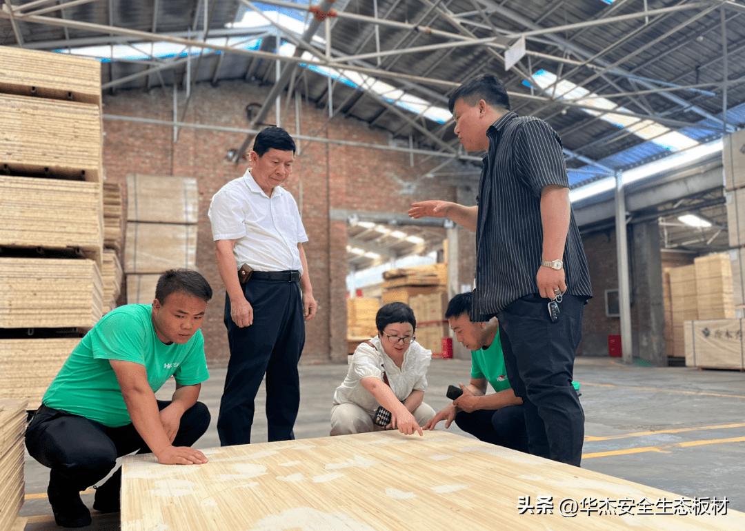 共谋发展交流讨论,共谋发展与合作交流