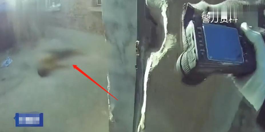 时隔两年女子再次与前夫同居,少妇婚外情被丈夫杀害