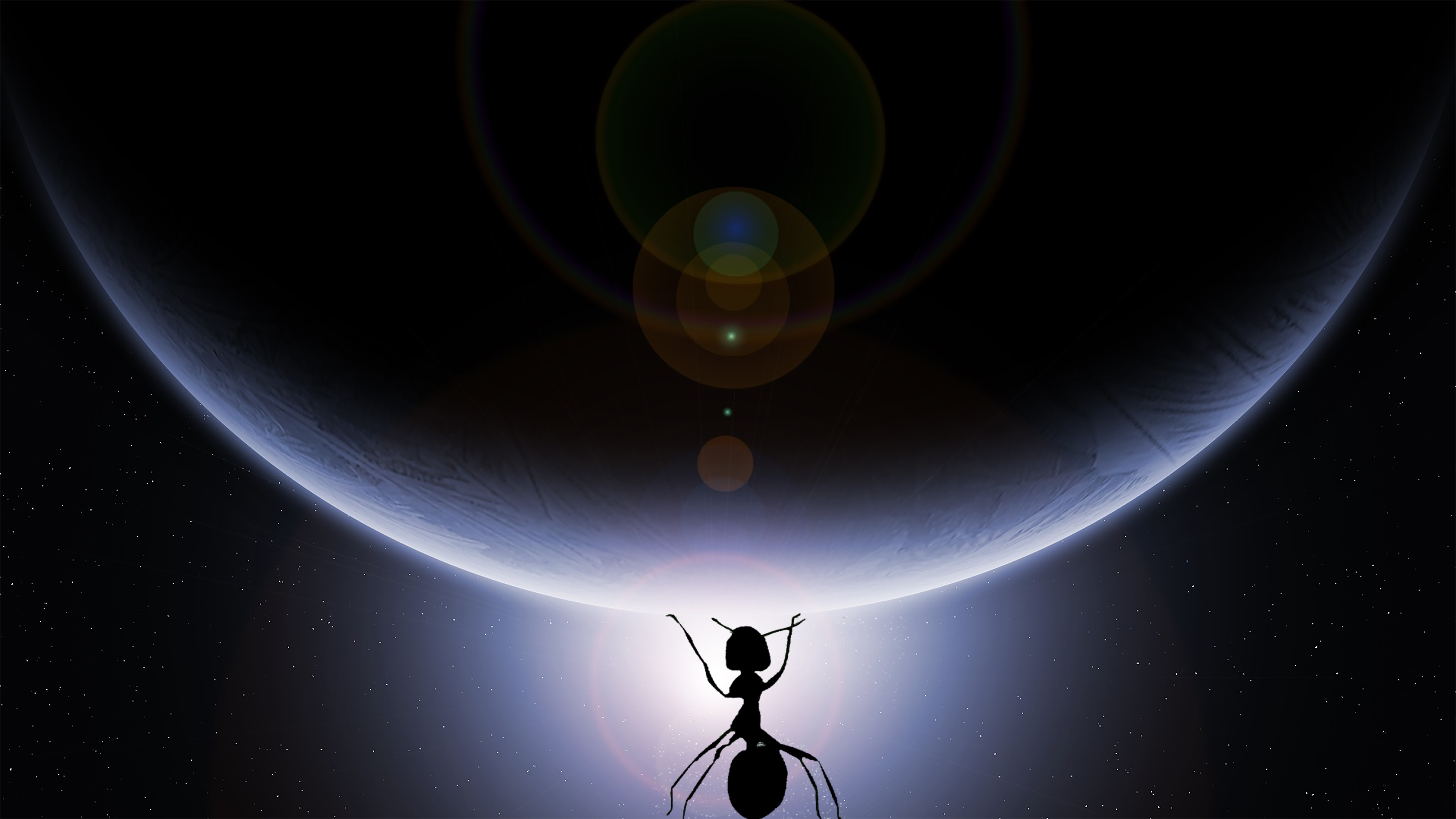 期货鳄鱼投资感悟-交易是什么?