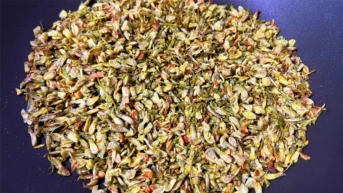 槐花全是是宝，8月遇见抓紧囤，晾干炒一炒，泡水喝好处多多