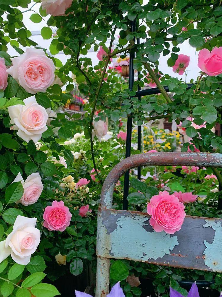 两家共用一个平台怎么解决,两家共用一堵墙发生矛盾怎么处理