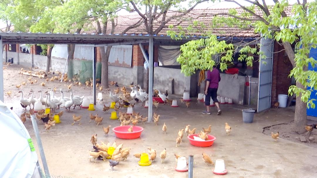 武汉农商行乡村振兴,民生银行乡村振兴