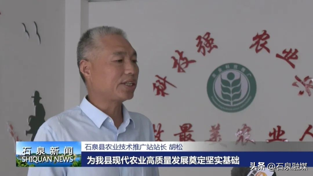 特色富硒乡村产业振兴,助力乡村经济发展富硒产业