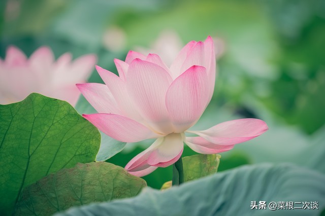 婆婆觉得我家钱是她儿子赚得，用的很心安，我妈却不舍的用我们的