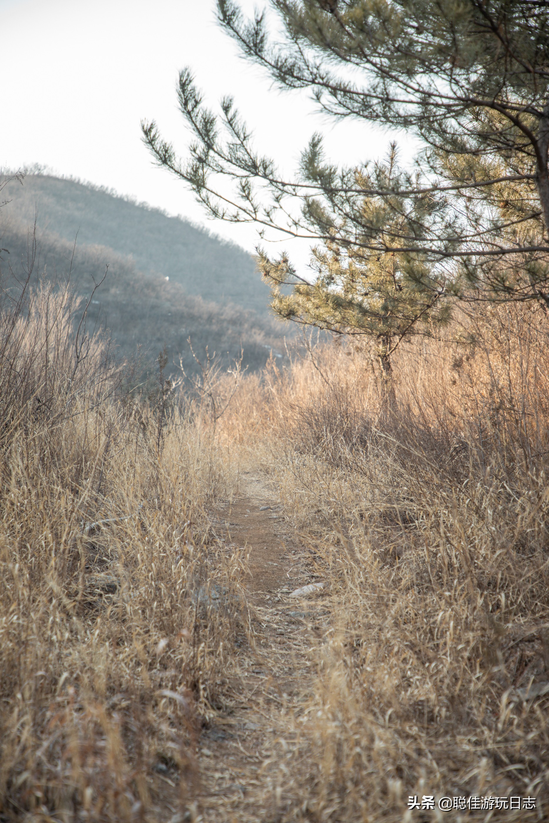 北京徒步龙潭峡,北京门头沟双龙峡有冰瀑吗