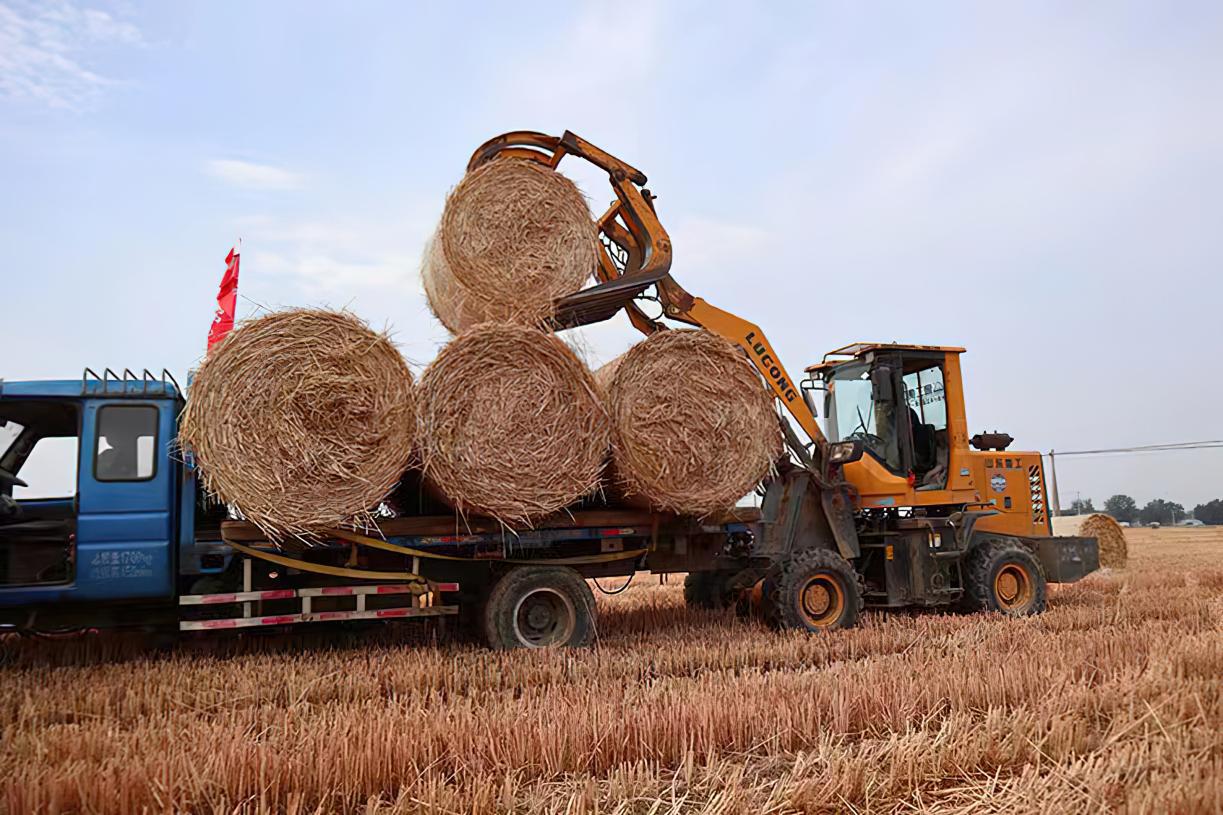 海归硕士转行收废品月入数万元,废弃农作物秸秆利用变废为宝