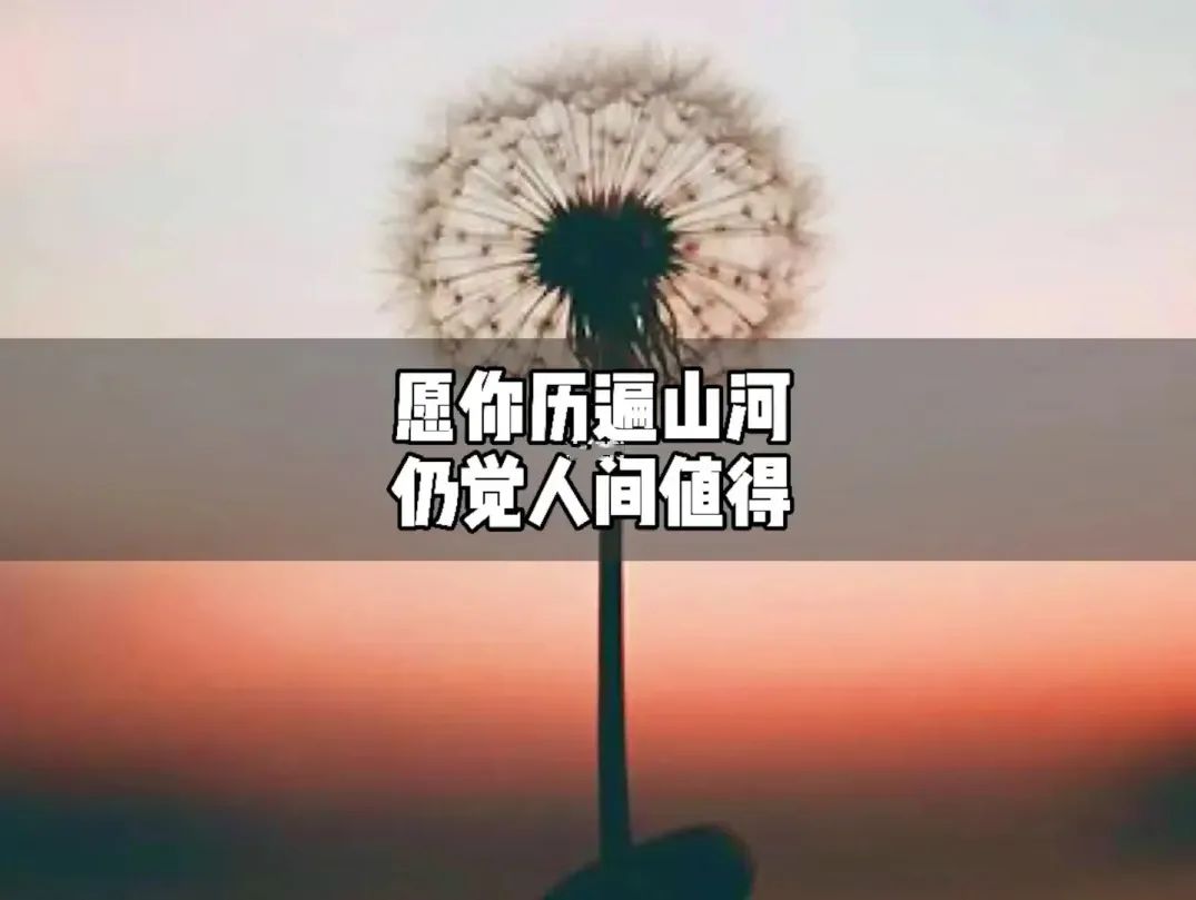 早安心语每日经典图片,早安心语短句2020早安图