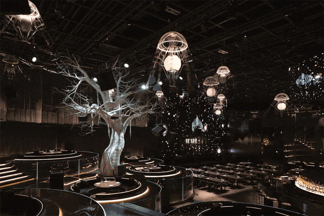 水母节灯光,水母灯动态