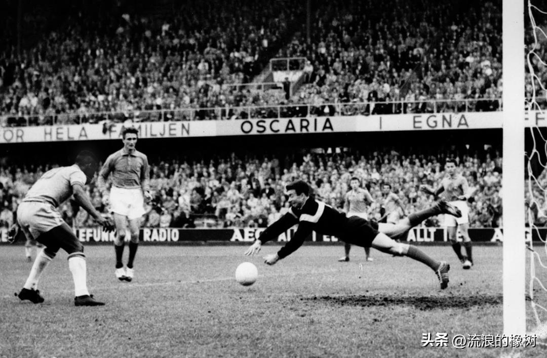 橡树|贝利，我们的足球的“暗号”