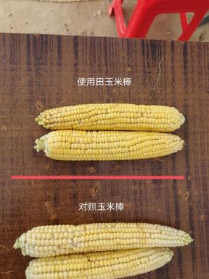 疆天耘图+农资套餐，带动玉米产量与农资销量双丰收