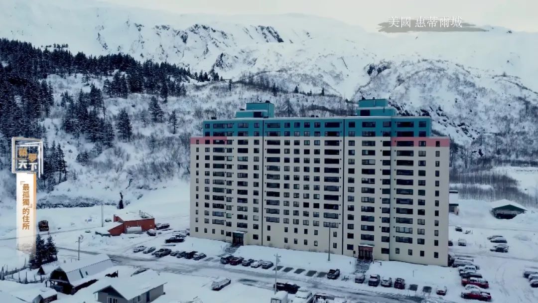 孤岛探秘试玩,孤岛探秘小说