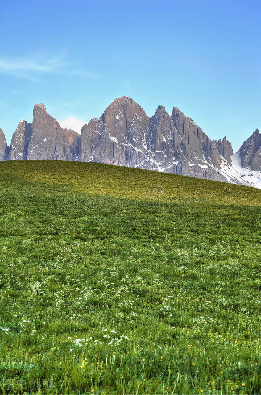 小学英语语篇的教学设计,基于大观念的小学英语课堂教学