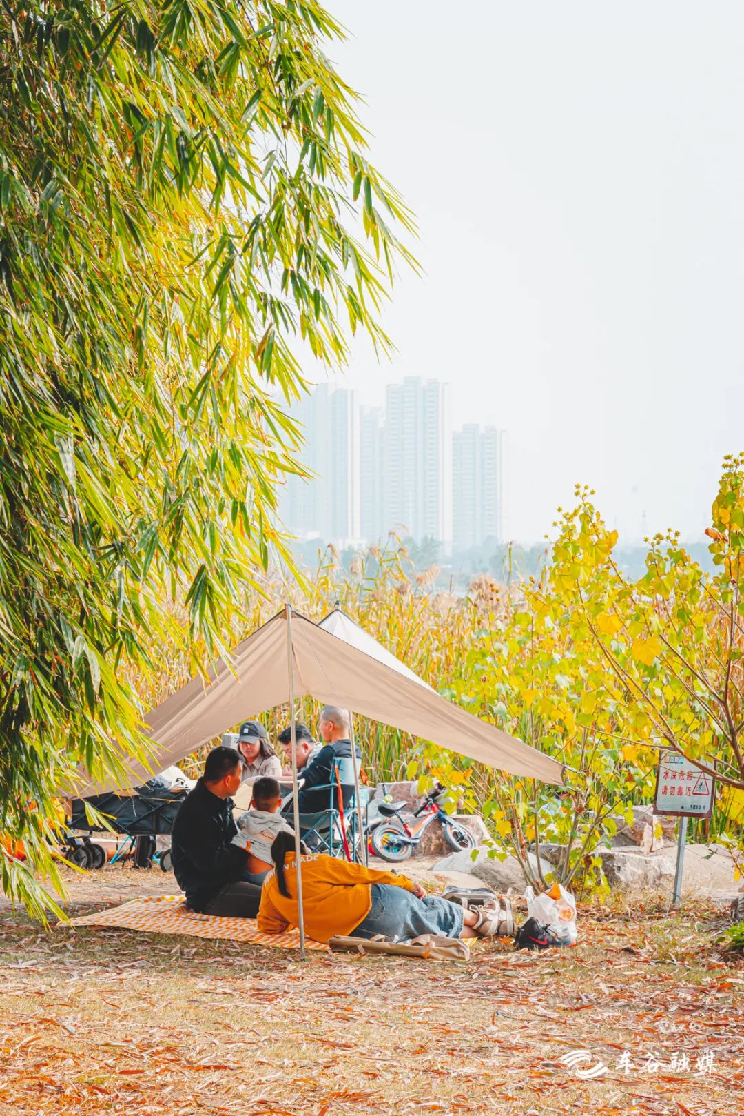 秋日暖阳骑行绿道,骑车绕城绿道值得打卡的推荐