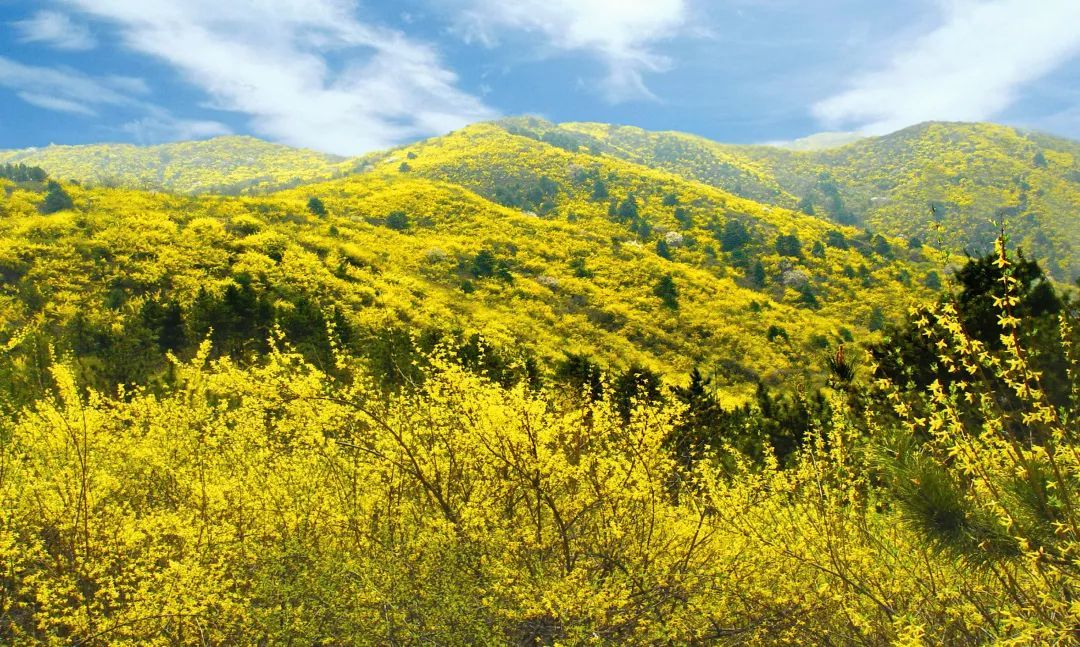 小小说:别拿大学生村官不当干部