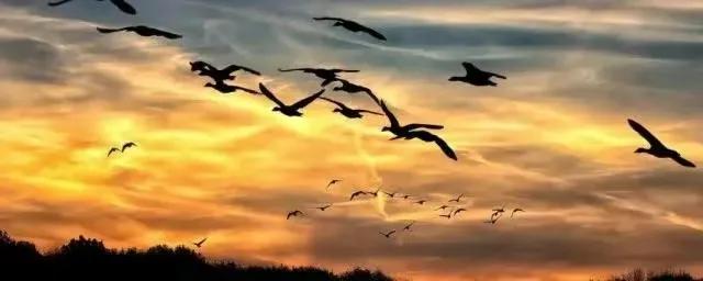 70岁的老太太自编自导自演,自导自演老人