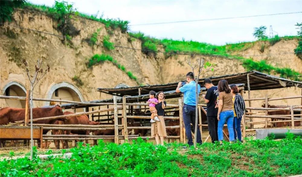 大美崇信，诚信之城欢迎您！