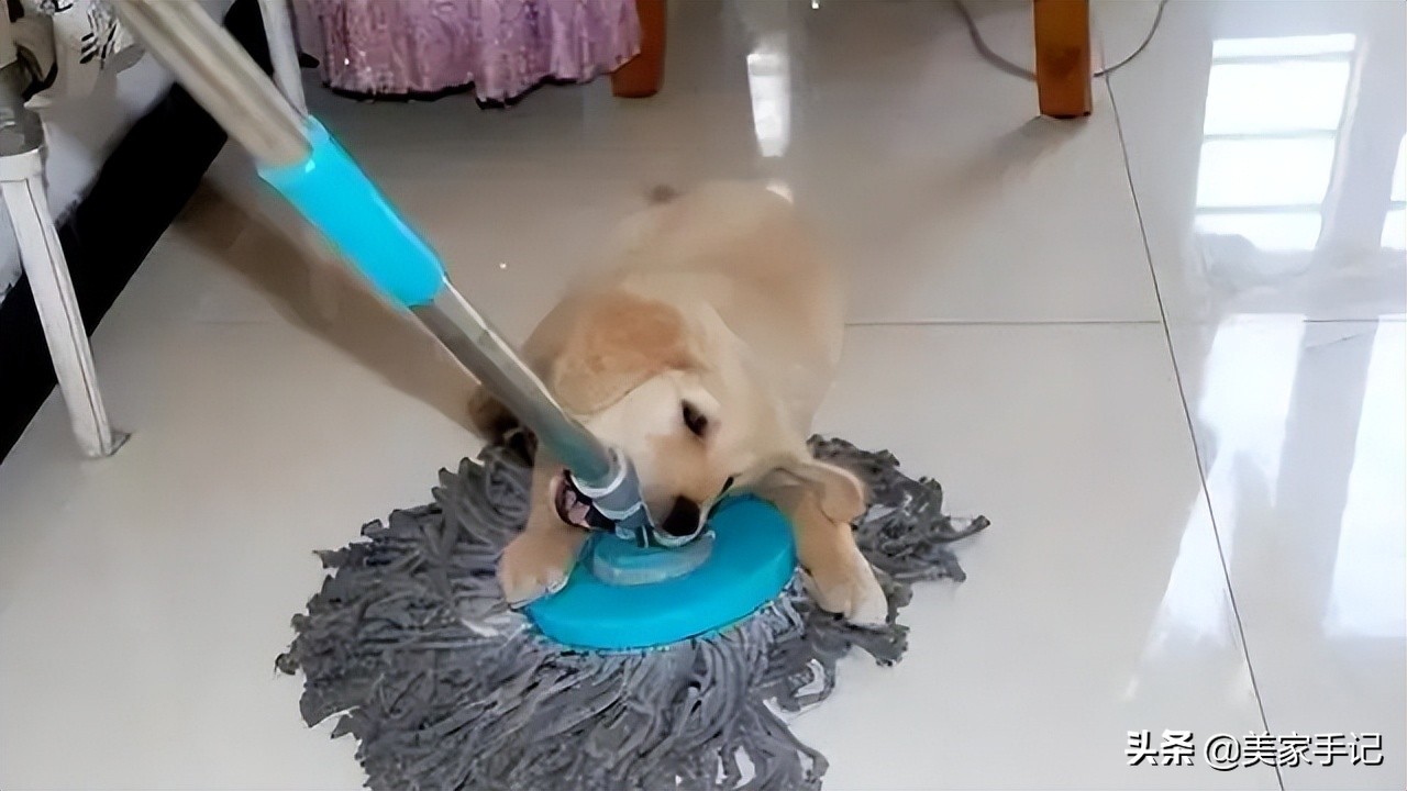 免洗扫拖机器人实用吗,扫拖机器人有必要加清洁剂