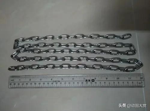 12年杀人烹尸案,重案六组两兄弟分尸