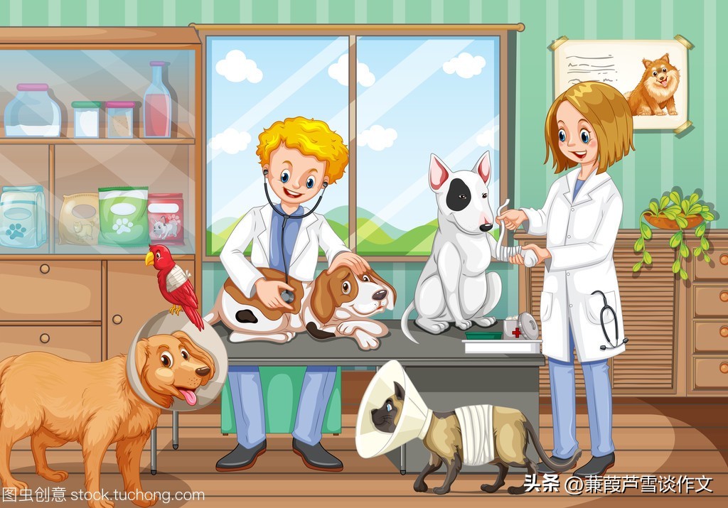 故事新编,重在创新——阿宝老师的“作文经”(二九二)